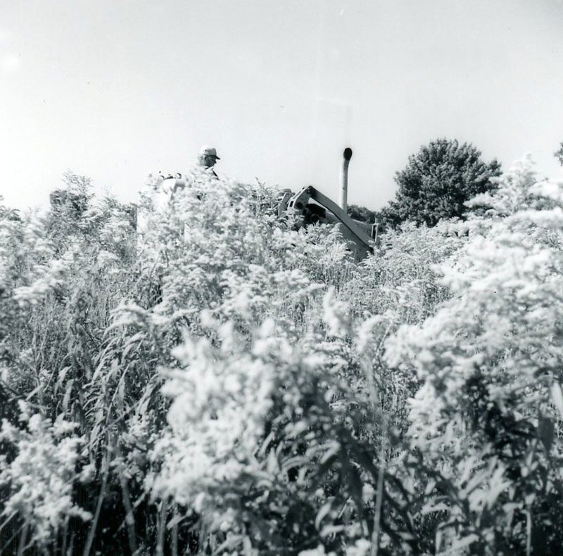 September 4, 1974
Blake Kirsch field clearing, John Cooks
Photo ID#: S377