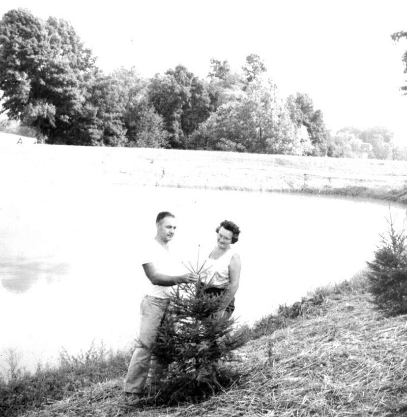 September 15, 1971
Mr. and Mrs. Robert Dorner
Photo ID#: S502