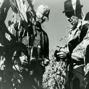 September 18, 1969 Ralph Winters & LaVern Fuesner, SCS Agronomist examine No-till corn at Winter’s Farm.