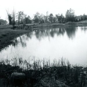 09_20_1964._Pond_1_website-3054