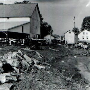 September 29, 1971 Swank Beef Cattle Barn prior to the installation of an animal waste storage facility.