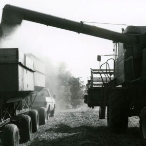 September 30, 1980 Unloading soybean harvest. H.L. Hopkins Farm