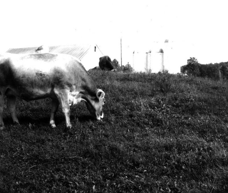 October 10, 1970
Cedar Creek Ranch Tour
Photo ID#: PL134