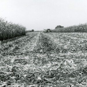 October 16, 1980 Harvesting no-till corn. Note the excellent residue cover. Brendon Finnegan Farm in Sharon Township
