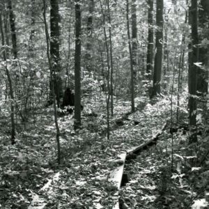 10_22_1979_Nature_trail_winds_thru_Fowler_Woods_Nature_Preserve_website-5701