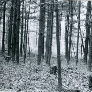 11_1985_Forestry_Field_Day_1_website-3911