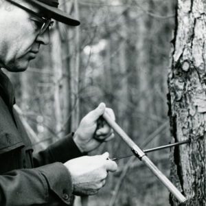 12_19_1966_Norris_Quam_at_Cye_Reeder_Farm._Measurement_of_growth_rate_with_an_increment_borer_website-3872