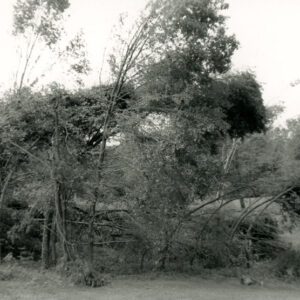 1990_Tornado_clean_up_Bellville_Johnsville_Rd___I_71__1_website-2569