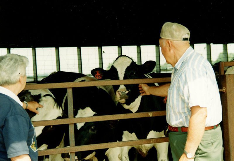 2004
Ken Adams and Joyce Adams' cows
Photo ID#: RSWCD49