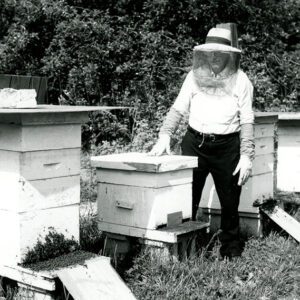 Beekeeper with Bee Hives