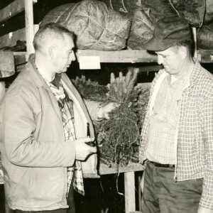 Claude_Schickling__Pine_Grove_Nursery_website-2718