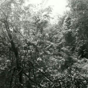 Erosion