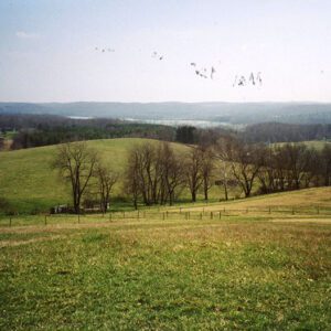 Malabar_State_Park__3_website-2929