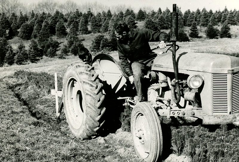 Digging a trench to plant trees
Photo ID#: P108