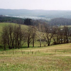 Mt_Jeez__Pleasant_Hill_Lake_Background_1_website-3151