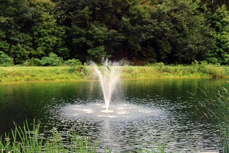 Pond Clinic
Richland Rural Life Center
Photo ID#: S592