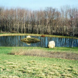 Pond_Unknown_website-4330