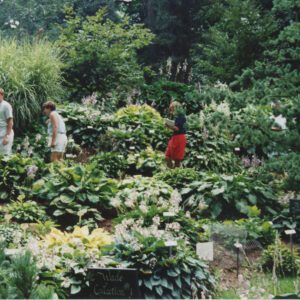 Wade___Gatton_Nursery__16_0001-261