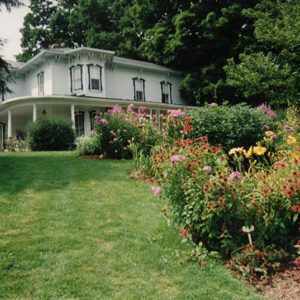 Wade___Gatton_Nursery__7_website-2689